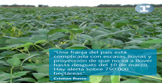 Cristian Russo - Jefe de la Guía Estratégica para el Agro de la Bolsa de Comercio de Rosario (BCR)