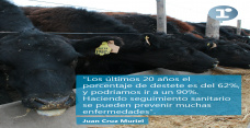 Juan Cruz Muriel - Gerente de Servicios Técnicos de Biogénesis Bagó (Espacio Biogénesis Bagó)