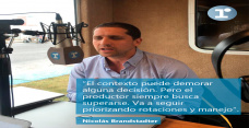 Nicolás Brandstadter - Gerente de Marketing de Nidera Semillas