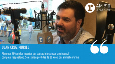 Juan Cruz Muriel - Gerente de Servicios Técnicos de Biogénesis Bagó