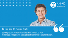 Columna Ricardo Bindi - “Cristina y las Mesas de COMPETITIVIDAD del agro para el despegue”