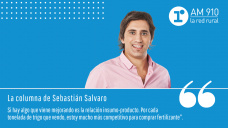 Columna Sebastián Salvaro - “Analizando trigo, cebada y brechas cambiarias, las variables de la semana”