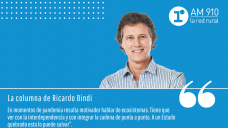 Columna Ricardo Bindi - 