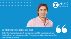 Columna Sebastián Salvaro - 