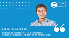 Columna Ricardo Bindi - “Campo y MODERADOS transitando por la amplia avenida del medio”