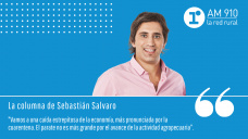 Columna Sebastián Salvaro - “Posibles impactos de las estimaciones del FMI y la Argentina”