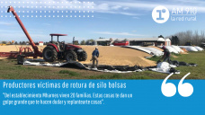 Audios productores afectados por ataques a silobolsas