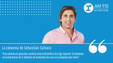 Columna Sebastián Salvaro - “Por qué es tan importante llegar con altas coberturas de precios de trigo a fin de año”