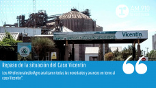 Análisis situación de Vicentin