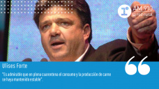Ulises “Chito” Forte - Presidente del IPCVA