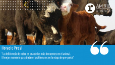 Espacio Ganadero - Horacio Pessi, veterinario