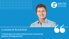 Columna Ricardo Bindi - 