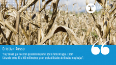Cristian Russo - Jefe de la Guía Estratégica para el Agro de la Bolsa de Comercio de Rosario