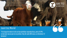 Espacio ganadero - Juan Cruz Muriel, veterinario