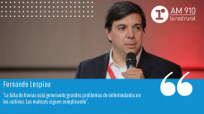 Fernando Lespiau - Gerente de Canales de Dsitribución (Divisón Global) de Helm