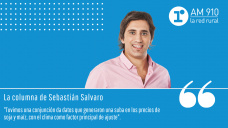 Columna Sebastián Salvaro - “Un mercado en plena disrupción”