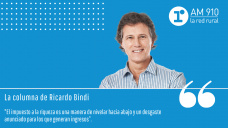 Columna Ricardo Bindi - 