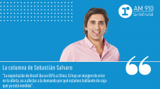 Columna Sebastián Salvaro - 