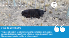 #MinutoDelProductor - Marcelo Aguado, productor de San Luis