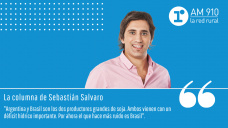 Columna Sebastián Salvaro - 