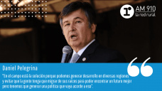 Daniel Pelegrina (Presidente de la Sociedad Rural Argentina)