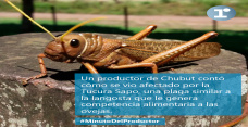 #MinutoDelProductor