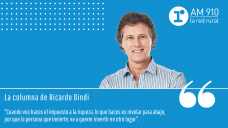 Columna Ricardo Bindi - En 2008 el #campo puso el freno, en 2020 está marcando el ritmo país