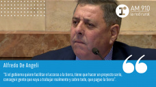 Alfredo De Angeli - Senador Nacional