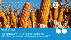 Federico Larrosa - Gerente de Marca y Producto de KWS