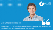 Columna Ricardo Bindi - 