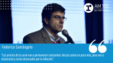 Federico Santángelo - Director de Agroideas