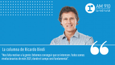 Columna Ricardo Bindi - 