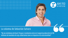 Columna Sebastián Salvaro - 