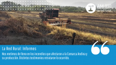 Informe de La Red Rural sobre los incendios en la Patagonia
