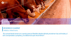 Rodrigo Garriz - Médico veterinario - Espacio ganadero