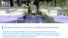 Informe sobre el debate en Diputados por Biocombustibles