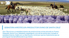 Minuto del Productor - Sebastián Apesteguía, productor Ovino de Santa Cruz