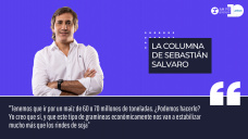 Columna Sebastián Salvaro - 