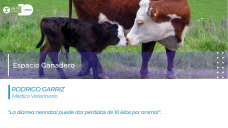 Rodrigo Garriz - Médico veterinario
