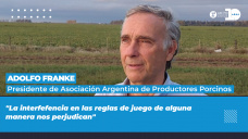 Adolfo Franke - Presidente de Asociación Argentina de Productores Porcinos