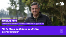 Nicolás Pino - Presidente de la Sociedad Rural Argentina