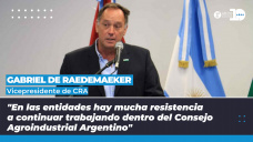 Gabriel De Raedemaeker - Vice presidente de CRA