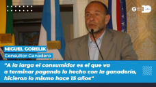 Miguel Gorelik - Consultor ganadero