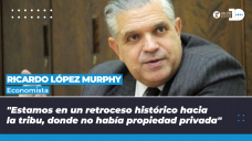 Ricardo López Murphy - Economista y referente de Republicanos Unidos.