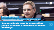 Ramiro Gutiérrez - Diputado nacional por el Frente de Todos (Bs. As)