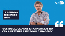 Columna de Ricardo Bindi - 