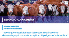 Horacio Pessi - Médico veterinario