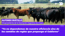 Alfonso Bustillo - Vicepresidente de la Asociación Argentina de Angus