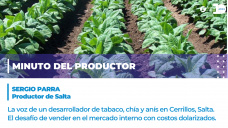 Minuto del productor - Sergio Parra, de Salta