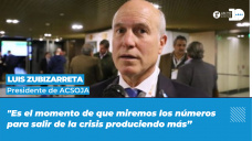 Luis Zubizarreta - Presidente de ACSOJA y de la Cámara de Puertos Privados y Comerciales